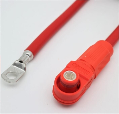 RoHS High Voltage Automobile Wire Harness Assembly Practical Multiscene